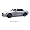 Mustang Shelby 5.0L V8 GT Premium Fastback AT